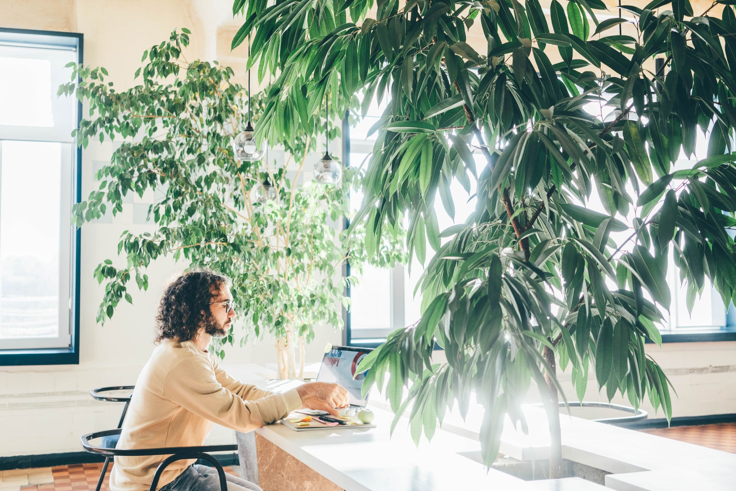 Freelancer man using laptop at comfortable office, green co-working modern workplace